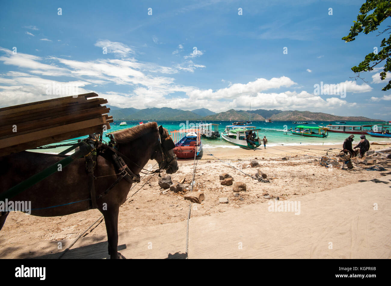 Gili Air Harbour, Indonesiani tradizionali barche ormeggiate fino, isole Gili, Indonesia, Asia sud-orientale, Asia Foto Stock