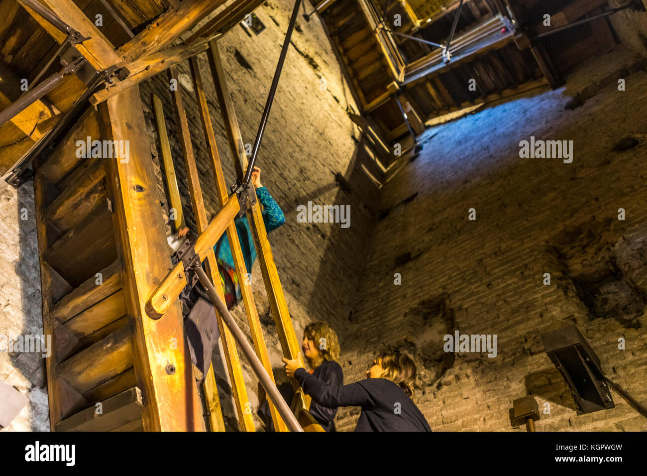 Molti gradini in legno fino alla sommità della torre degli Asinelli, Bologna vita di città, Italia. Foto Stock