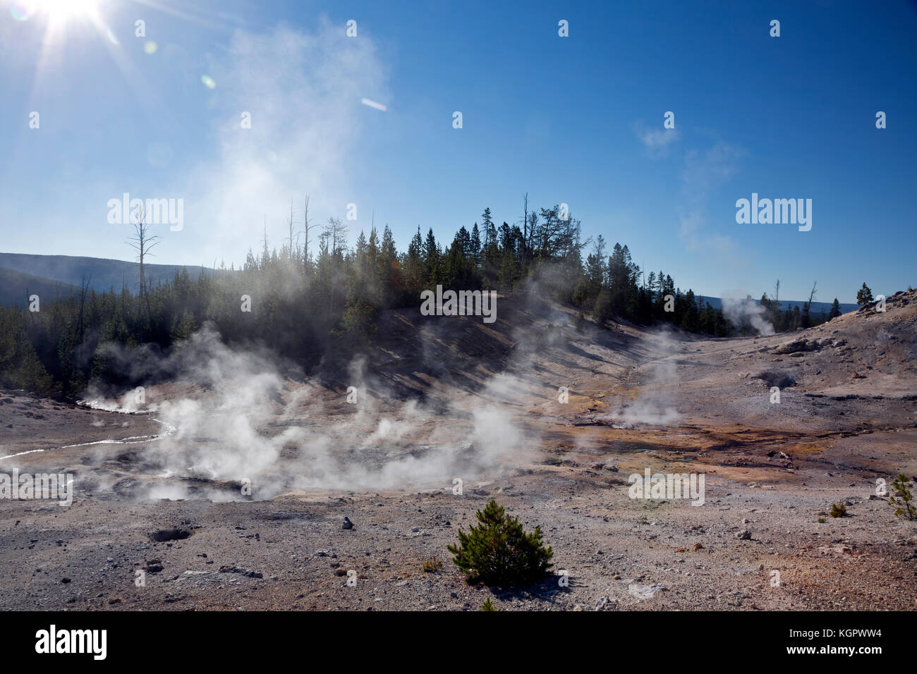 Wy02586-00...wyoming - vapore da numerose fumarole in monumento Geyser Basin area del parco nazionale di Yellowstone. Foto Stock