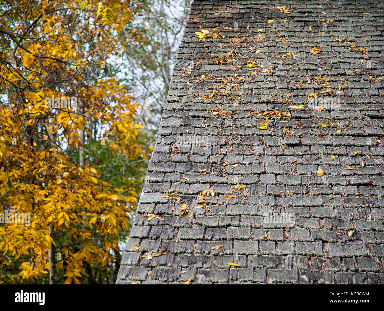 Xix secolo sul tetto di un edificio in corrispondenza della tramoggia-goetschius House Museum in Upper Saddle River, new jersey Foto Stock