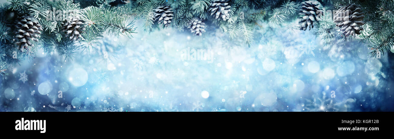 Banner invernale - fir nevoso rami con nevicata Foto Stock