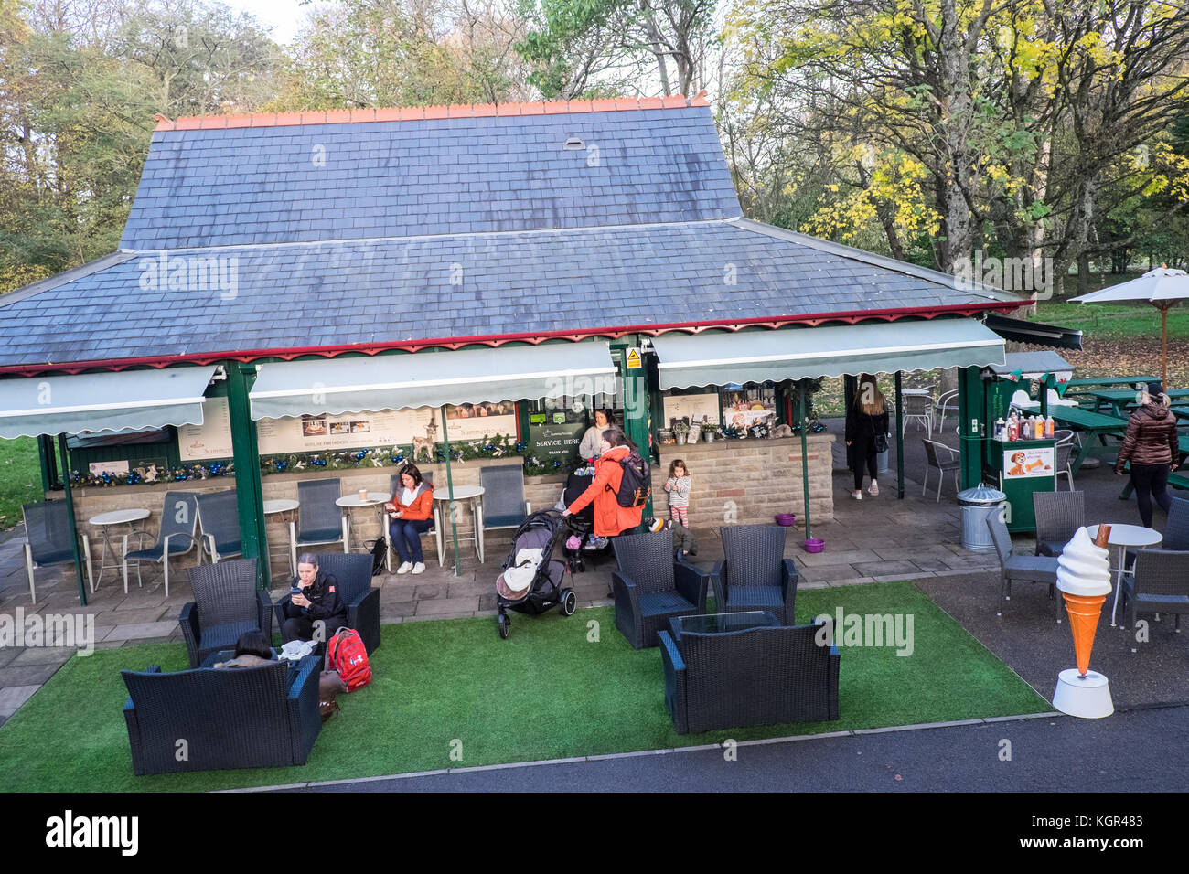 Bute Park,autunno,caduta,fogliame,alberi,verde,verde,verde,Cardiff,capitale,Caerdydd,South Glamorgan,Galles,Welsh,UK,U.K.,l'Europa, Foto Stock
