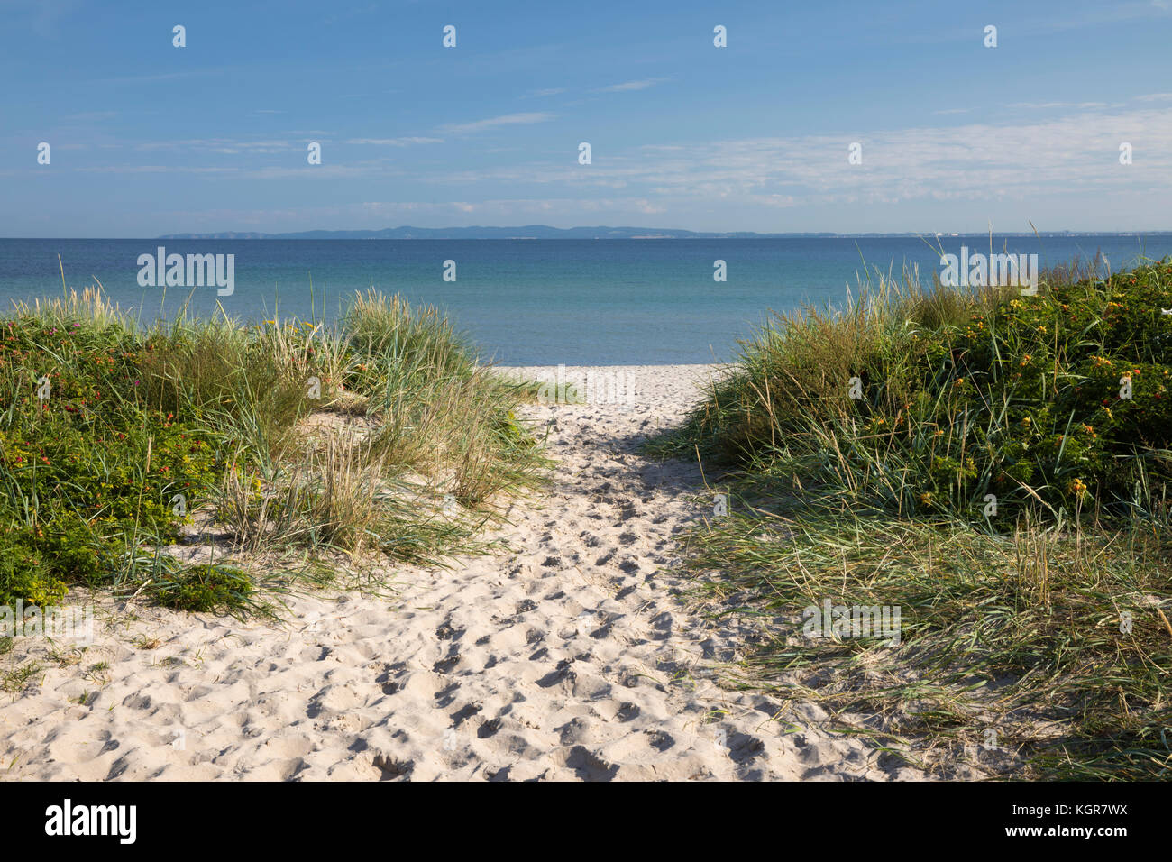 Hornbaek spiaggia con sabbia fine e bianca e dune di sabbia con mare blu dietro, Hornbaek, Kattegat Costa, Zelanda, Danimarca, Europa Foto Stock
