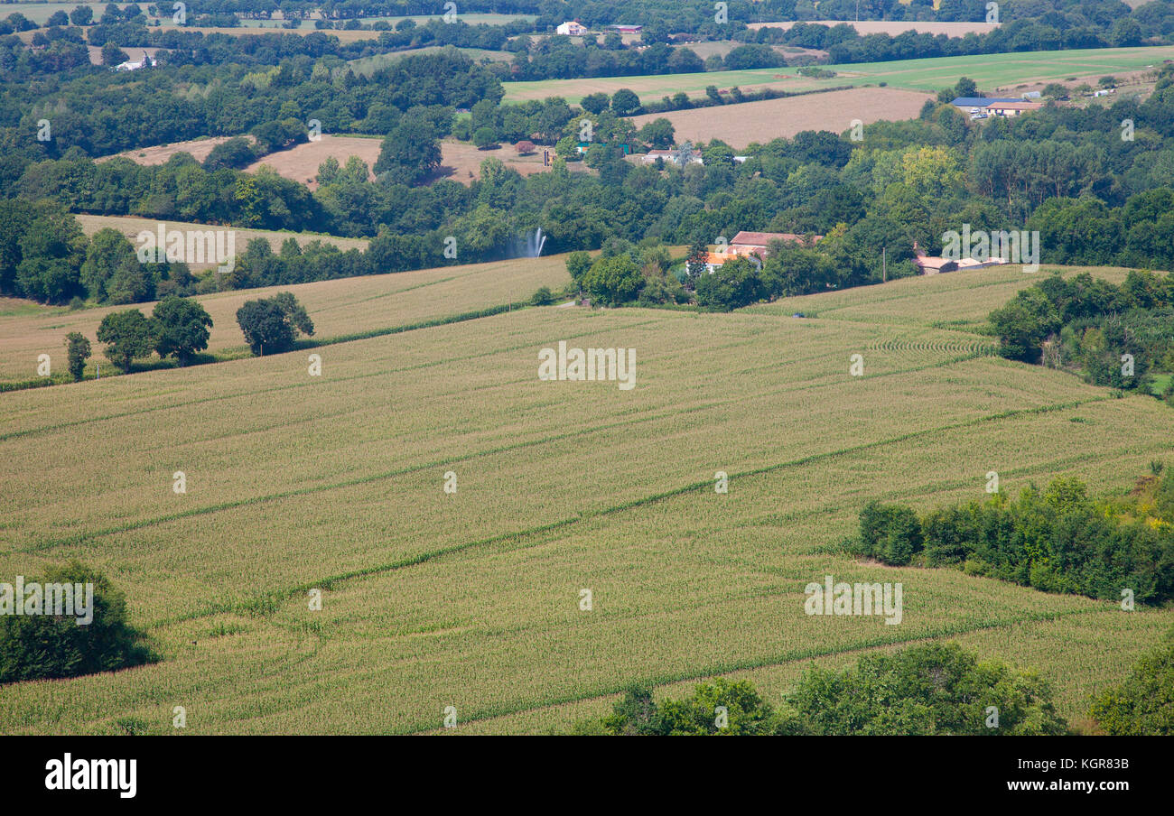 Vista areale nel campo in Vandea, Francia Foto Stock