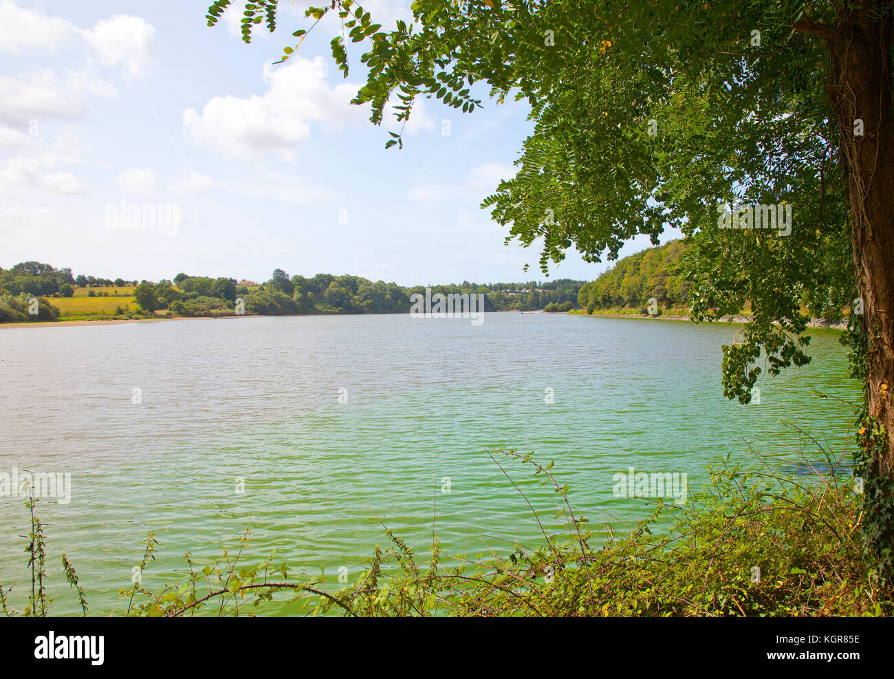 Vista sul lago Jaunay vicino al COEX in Vandea, Francia Foto Stock