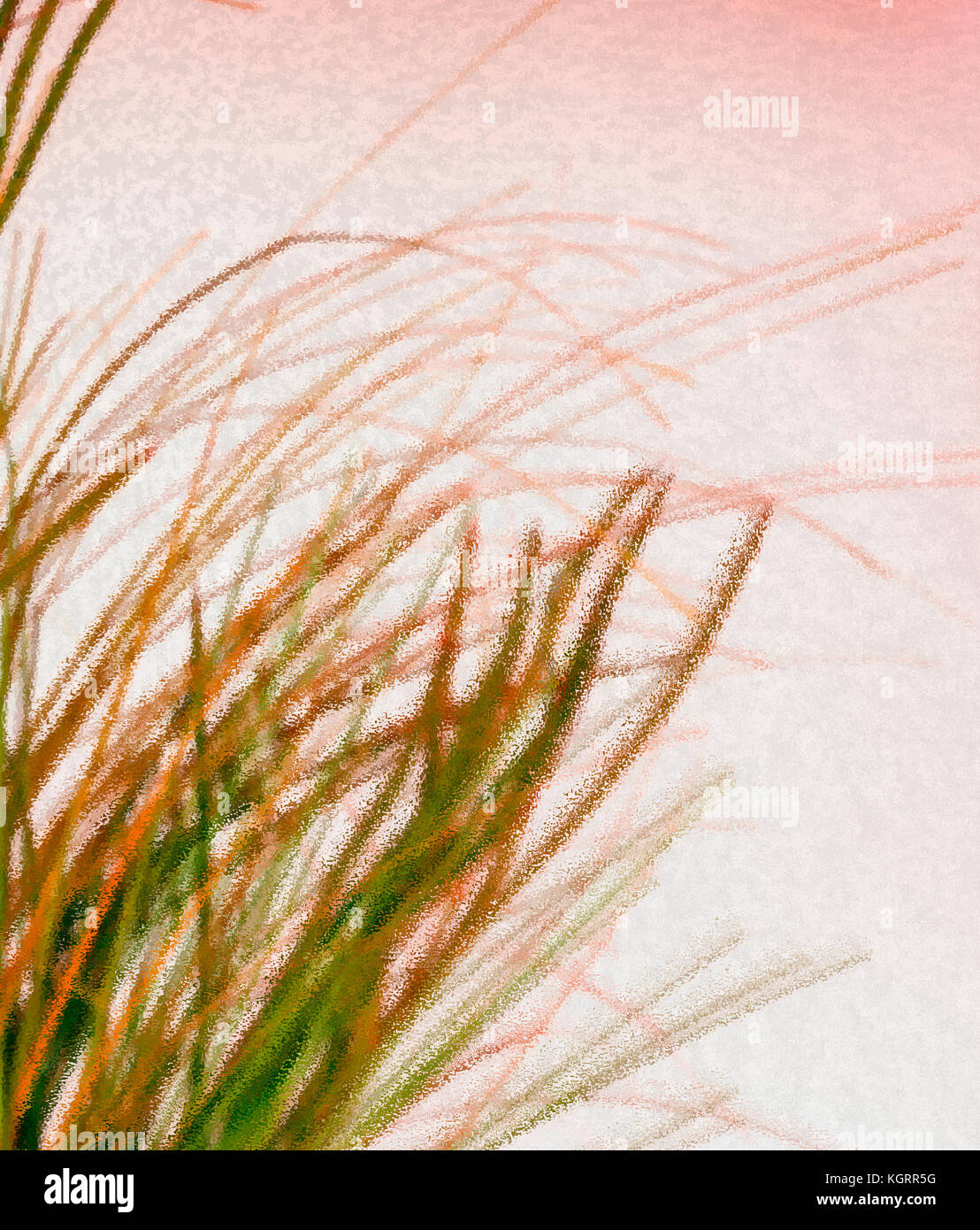 Sfocatura morbida erba selvatica abstract su sfondo a trama Foto Stock