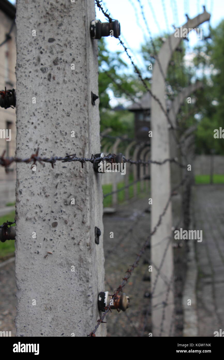 Filo spinato recinto elettrico al campo di concentramento di Auschwitz, Polonia Foto Stock