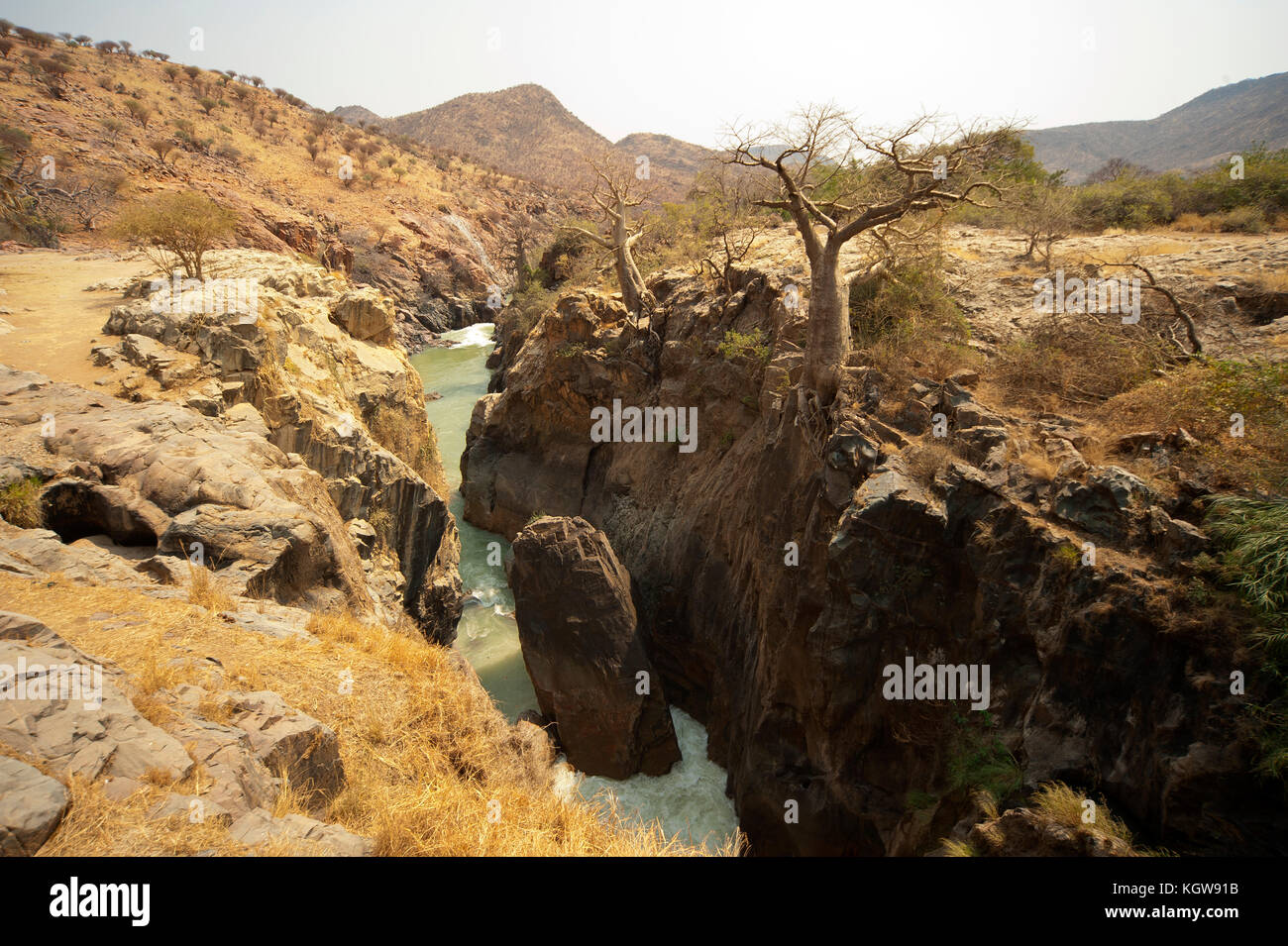 Alberi Baobahs su Epupa Falls sul confine Angola, regione di Kunene, sull'altro lato del fiume è territorio dell'Angola, Namibia. Foto Stock