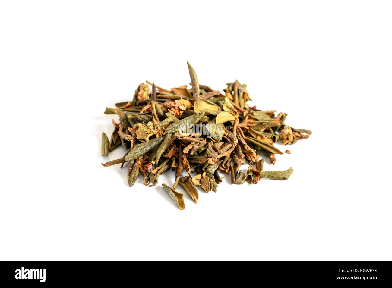 Pila di essiccato Adamsii rododendro, Sagan dyilya per il tè. Isolato su sfondo bianco il fuoco selettivo Foto Stock