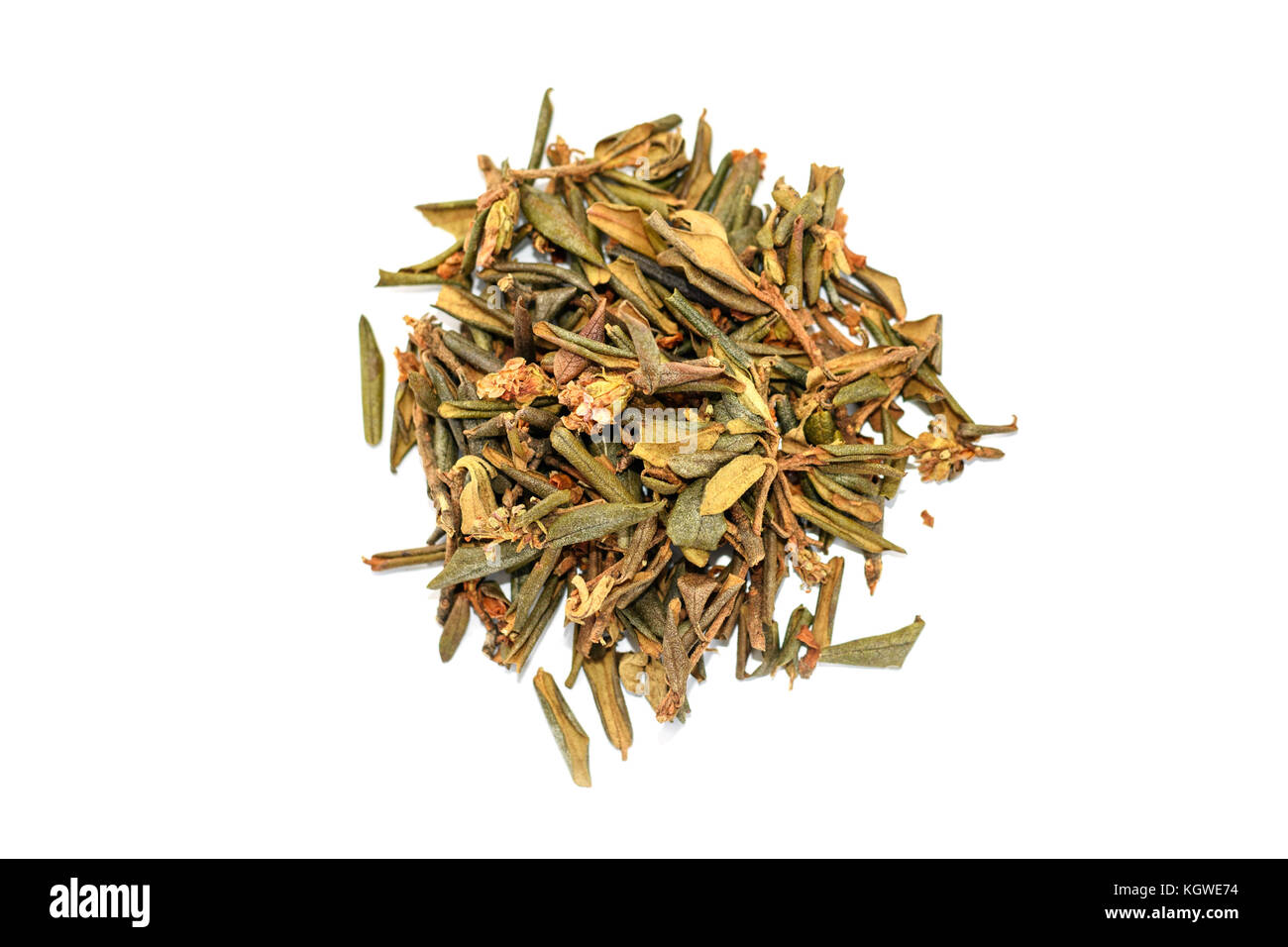 Pila di essiccato Adamsii rododendro, Sagan dyilya per il tè. Isolato su sfondo bianco il fuoco selettivo Foto Stock