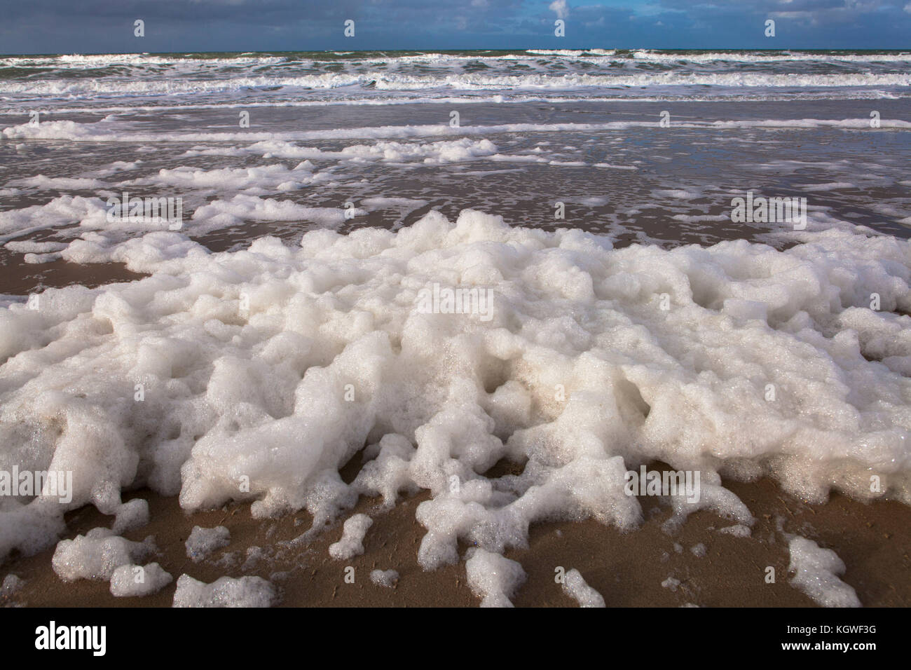 Paesi Bassi, Zeeland, schiuma causata dalla morte delle alghe fiorite sulla spiaggia tra Oostkapelle e Domburg sulla penisola di Walcheren Niederlande, Z Foto Stock