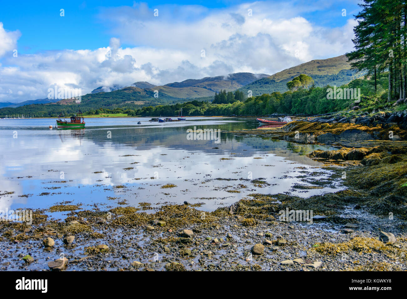Bella Loch Creran, salata uno loch pieno di vita acquatica e alghe vicino a Oban sulla costa atlantica in Scozia centrale Foto Stock