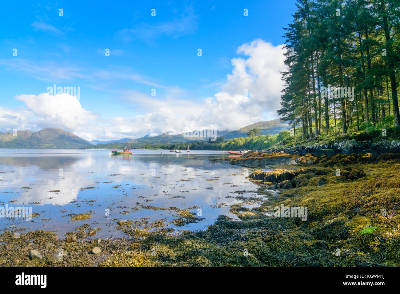 Bella Loch Creran, salata uno loch pieno di vita acquatica e alghe vicino a Oban sulla costa atlantica in Scozia centrale Foto Stock