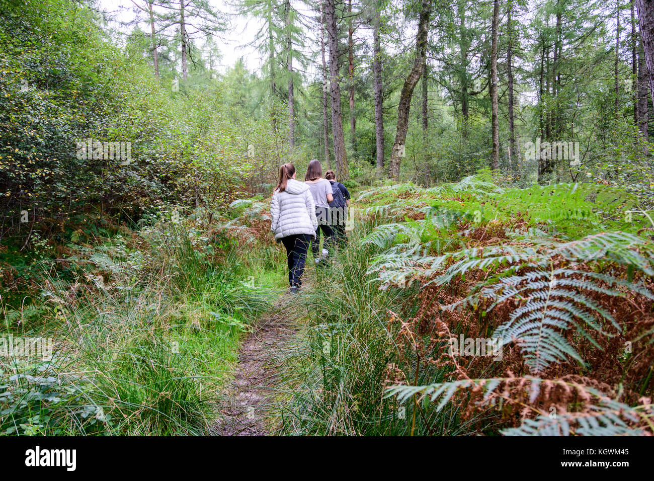 Una famiglia di quattro persone (madre e tre bambini) escursionismo in un bosco vicino a Loch Lomond in Loch Lomond e il Trossachs Naitional Park, Scozia Foto Stock