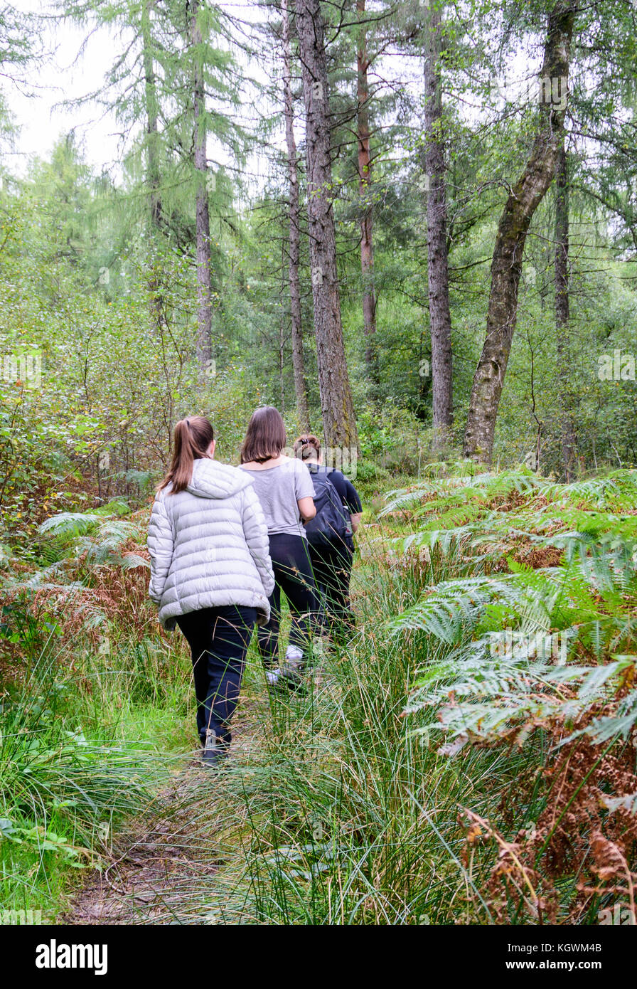 Una famiglia di quattro persone (madre e tre bambini) escursionismo in un bosco vicino a Loch Lomond in Loch Lomond e il Trossachs Naitional Park, Scozia Foto Stock