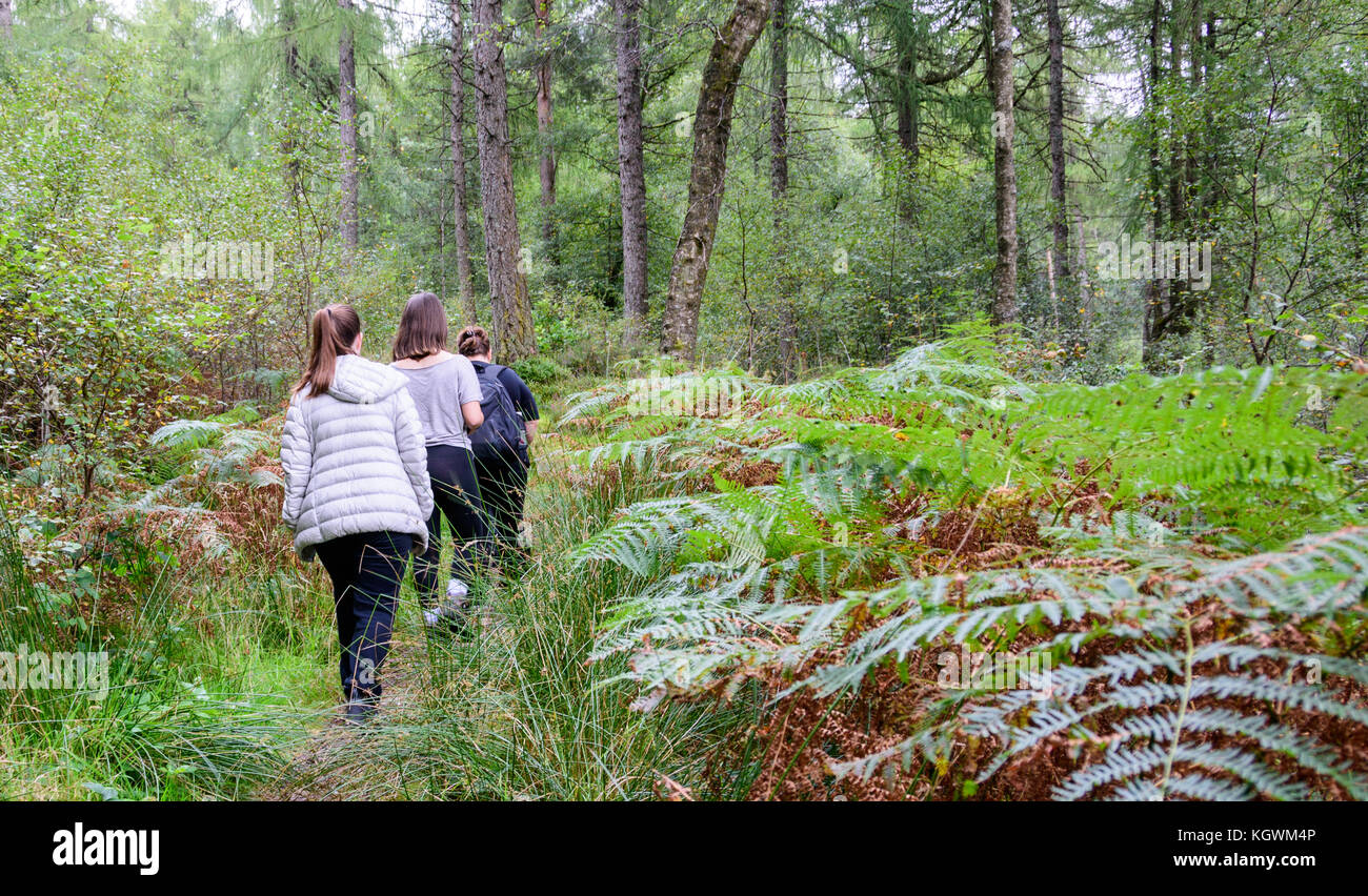 Una famiglia di quattro persone (madre e tre bambini) escursionismo in un bosco vicino a Loch Lomond in Loch Lomond e il Trossachs Naitional Park, Scozia Foto Stock