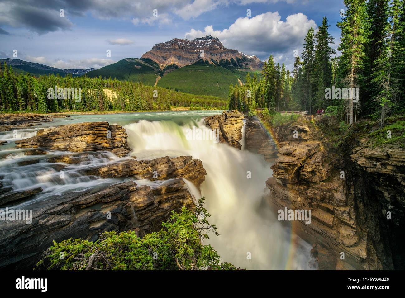 Sunwapta rientra nel parco nazionale di Jasper, Canada Foto Stock
