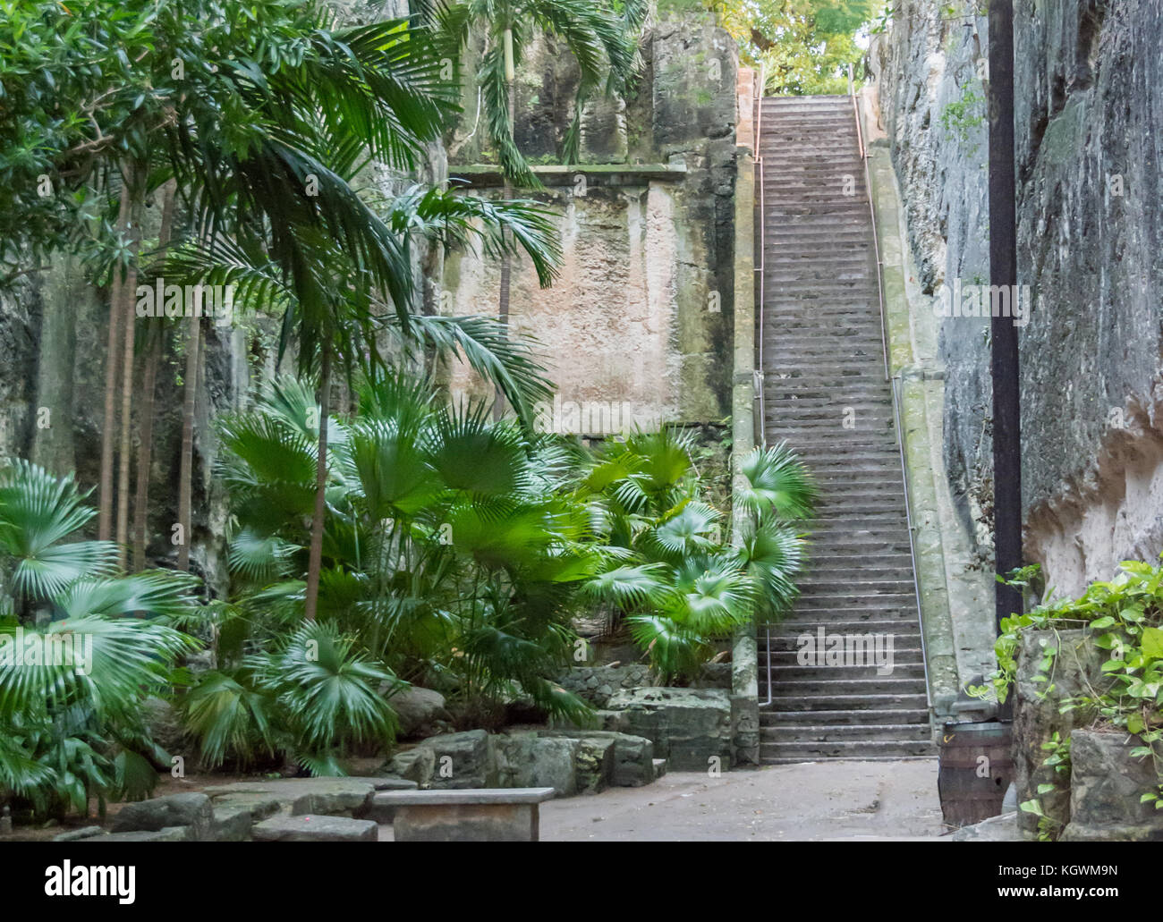 Regina della Scala in Nassau, Bahamas, noto anche come il 66 passi, un importante punto di riferimento in Fort Fincastle complesso storico di Nassau Foto Stock