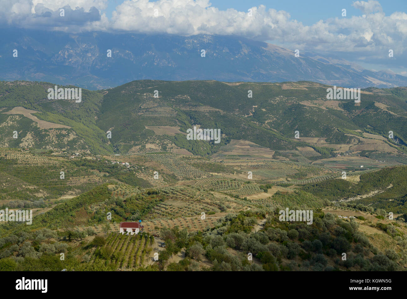 ALBANIA, Berat , le piccole aziende agricole in montagna / ALBANIEN, Berat, Landwirtschaft in den Bergen Foto Stock