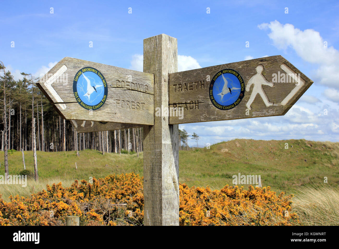 Isola di Anglesey sentiero costiero segno a Newborough Warren Foto Stock