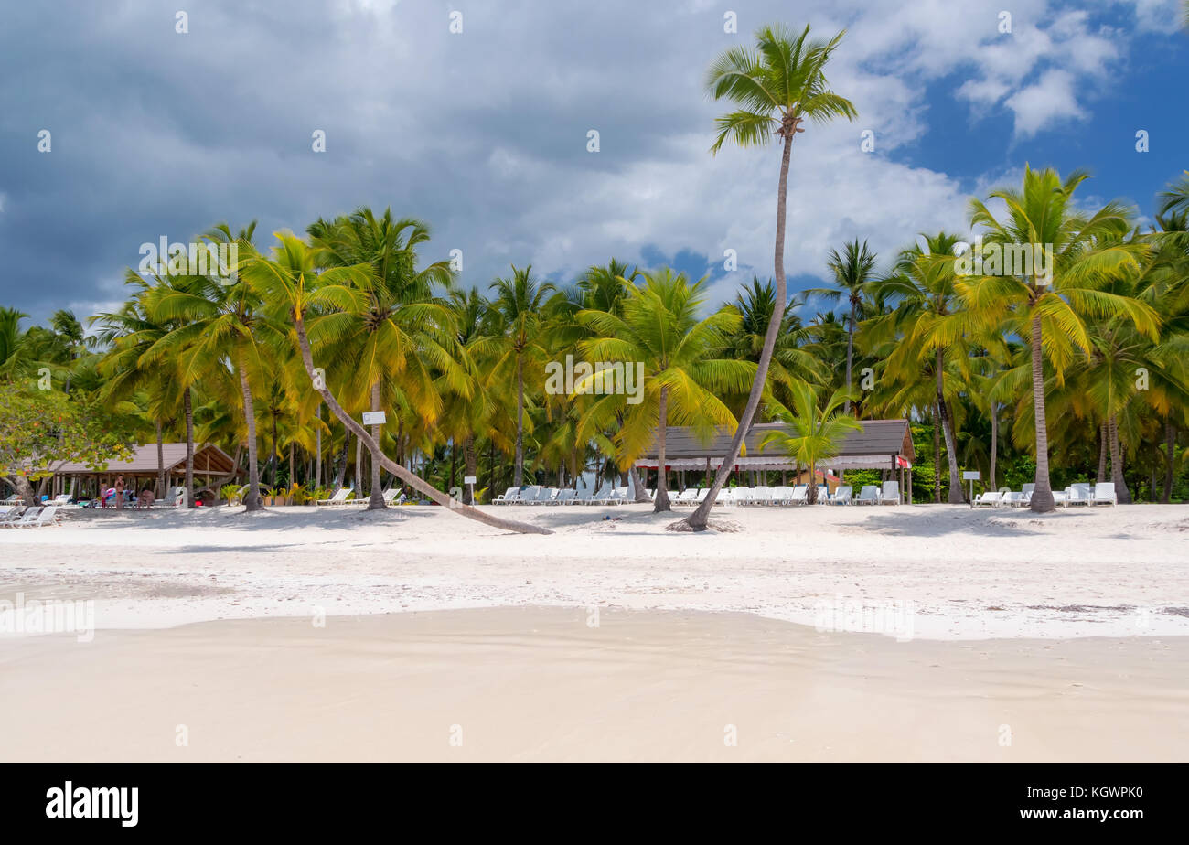 Spiaggia dell'isola caraibica di saona nella repubblica dominicana. Foto Stock