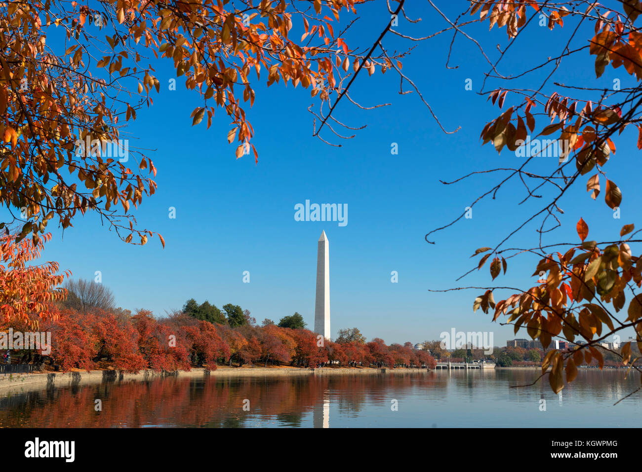 Il Monumento a Washington dal bacino di marea in autunno, West Potomac Park, Washington DC, Stati Uniti d'America Foto Stock