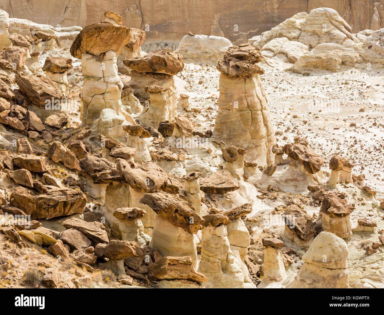 Marrone e bianco di strati di pietra arenaria entrada mix e creare uno strano hoodoos al rimrocks area di grande scala escalante National Monument, Utah. Foto Stock