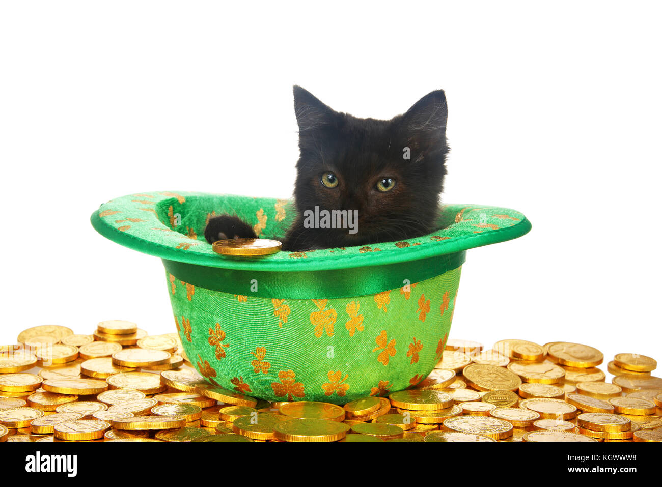 Un gattino nero in una san Patrizio verde a tema top hat con quattro trifogli foglia posa su un letto di monete d'oro, 1 moneta dalla zampa, isolato su bianco Foto Stock