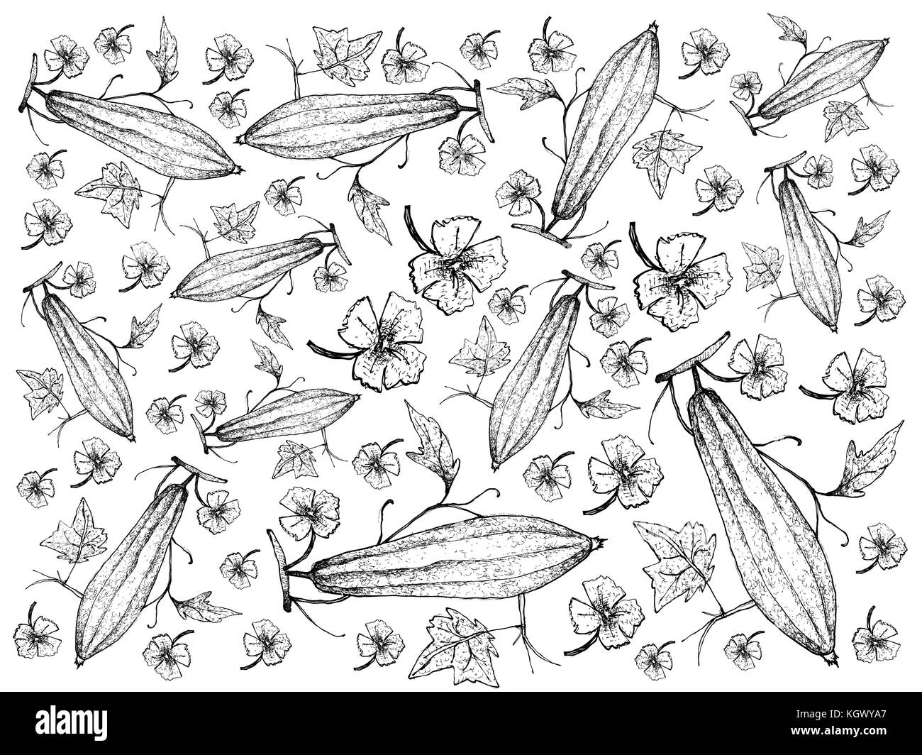 Vegetali e le erbe, illustrazione la configurazione di sfondo di mano il bozzetto zucche angolata o spugna zucche con foglie e fiori isolati su bianco bac Foto Stock