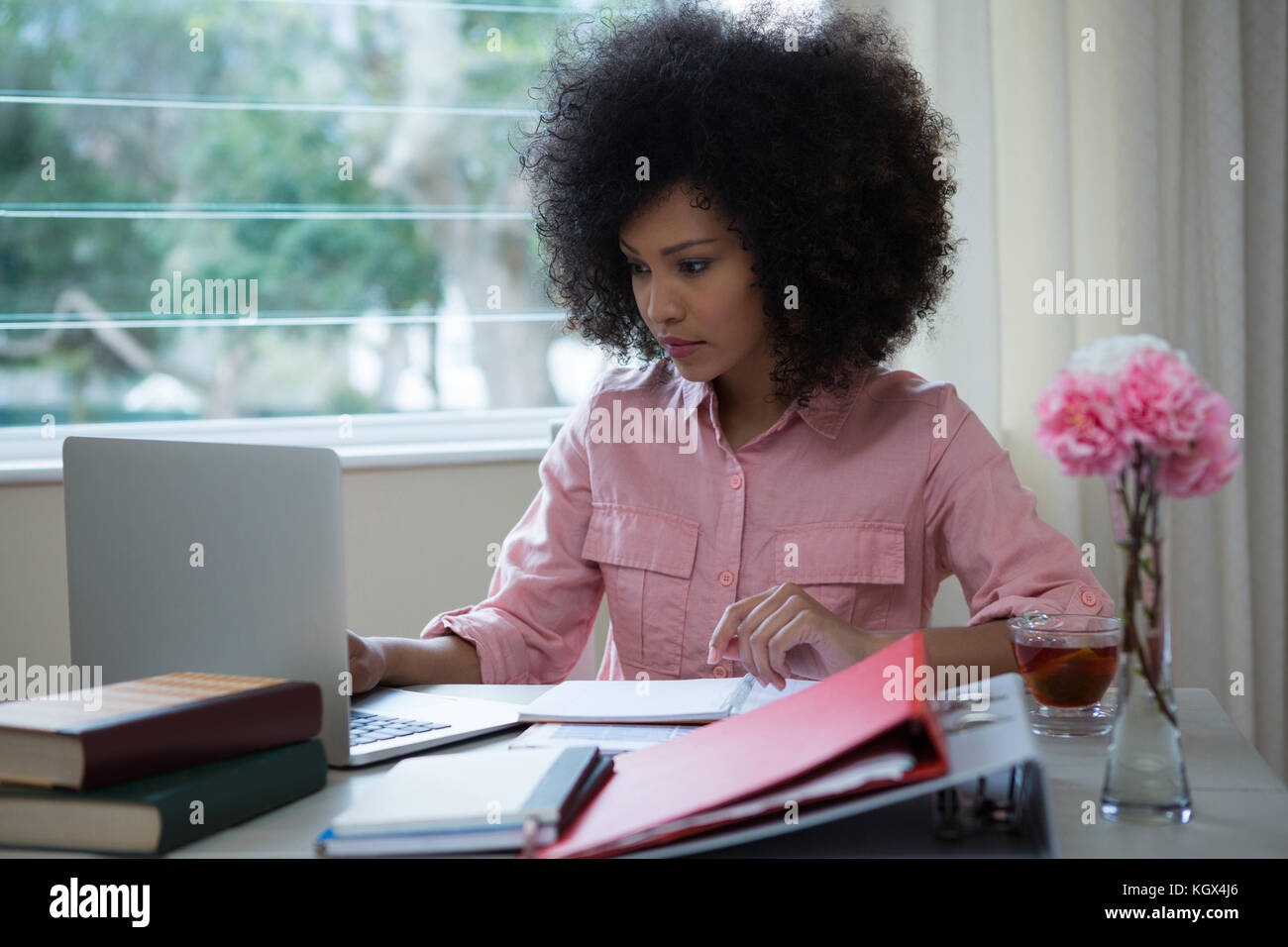 Giovane donna utilizzando portatile a casa Foto Stock