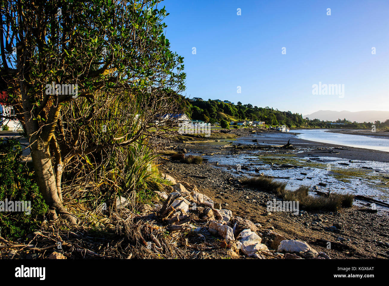 Fiume aorere, collingwood, Golden Bay, Isola del Sud, Nuova Zelanda Foto Stock