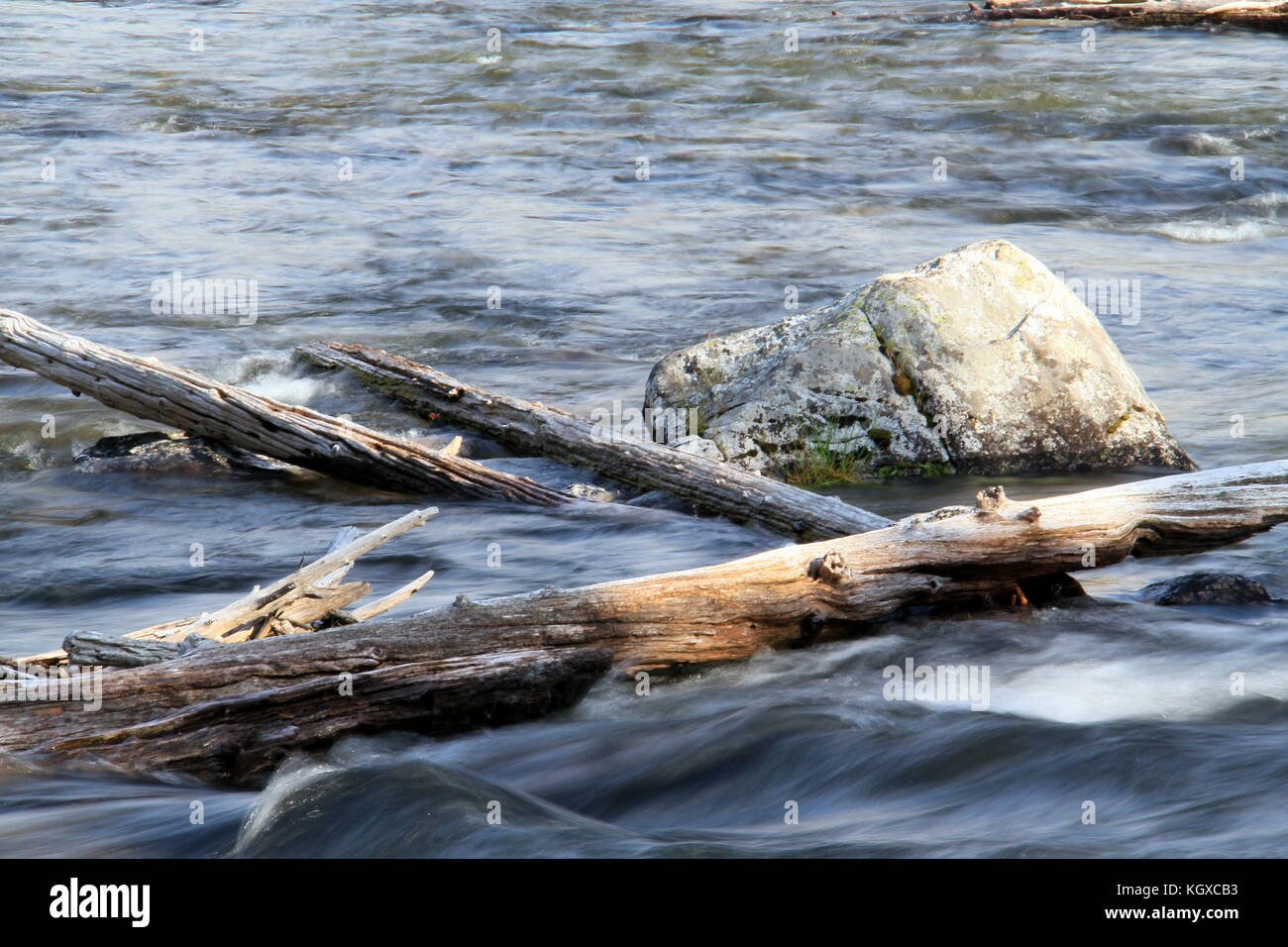 Legno flottante in acque di seta da rocce Foto Stock