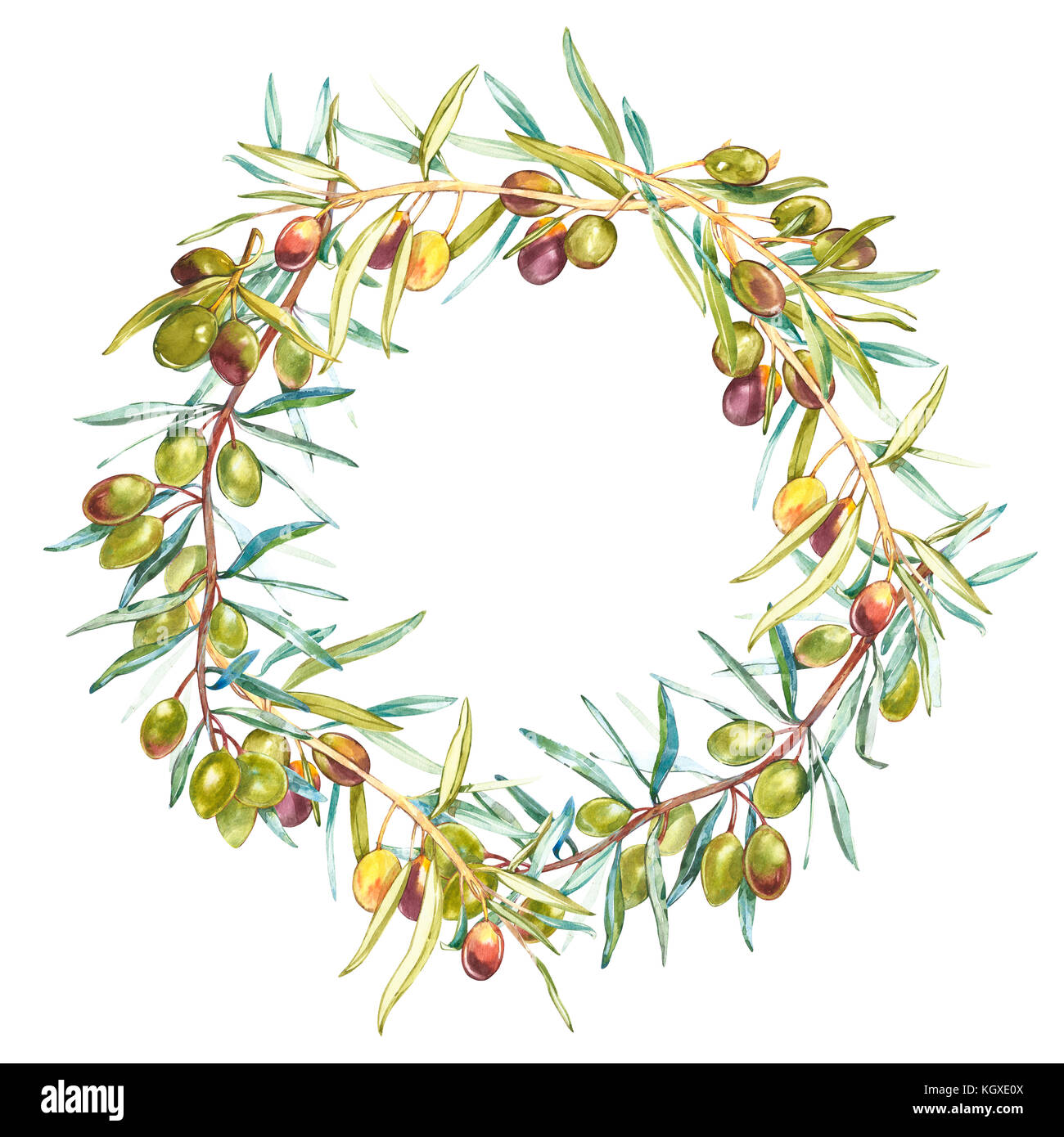 Acquerello colorata ghirlanda realistico con maturi olive nere e verdi sul round sullo sfondo bianco. illustrazione botanica. Foto Stock