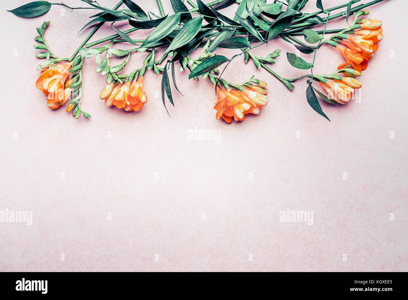 Bordo floreale fatta di fiori tropicali e foglie sul rosa pastello sfondo, vista dall'alto, il luogo per il testo Foto Stock