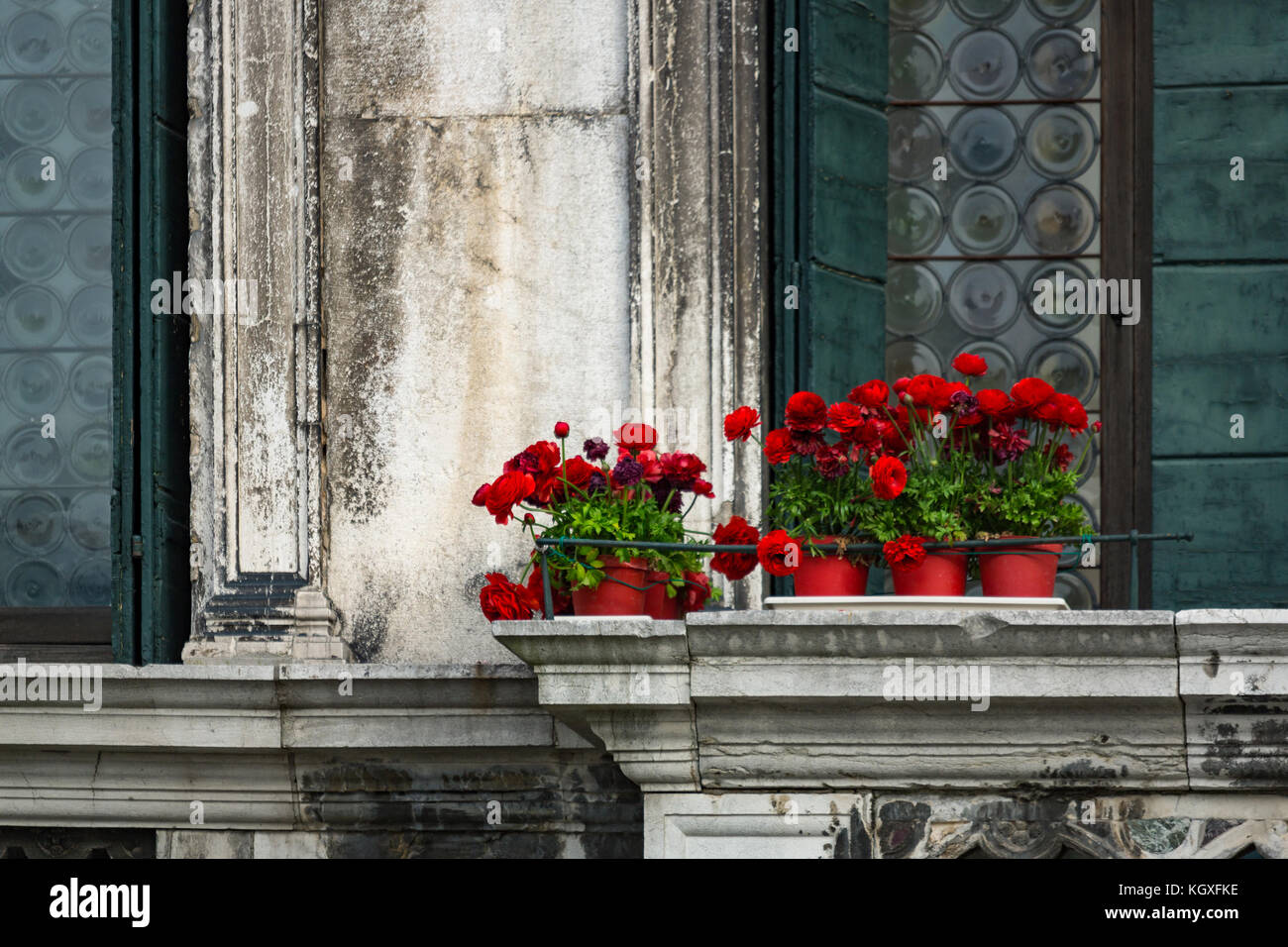 Fiori di colore rosso su un balcone vintage a Venezia. Foto Stock