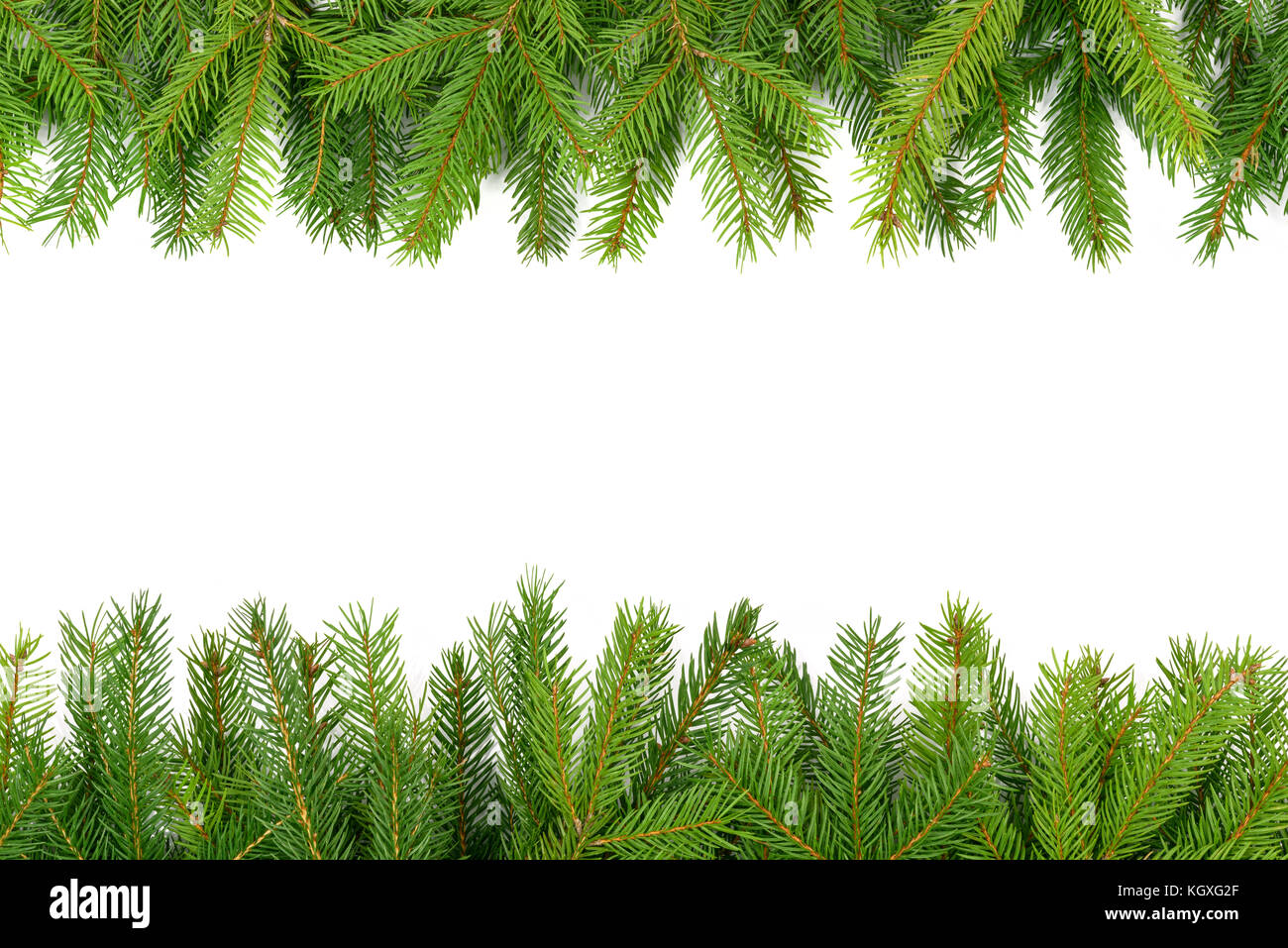 Mock up con albero di Natale o Capodanno confine. abete rosso di ramoscelli impilati in una fila su un fondo bianco (alta dettagli). Foto Stock