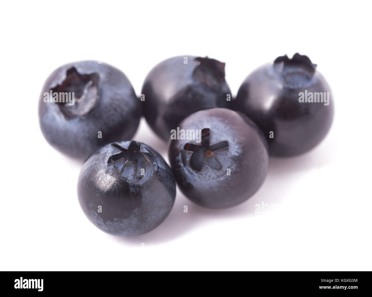 Blu o whortleberry huckleberry isolati su sfondo bianco Foto Stock