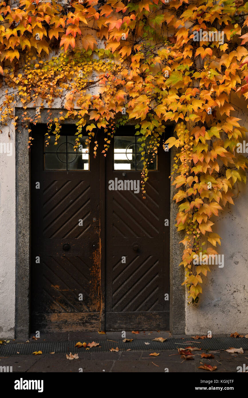 Foglie rosse durante la stagione autunnale nel centro di Bressanone e Bolzano Italia. Foto Stock