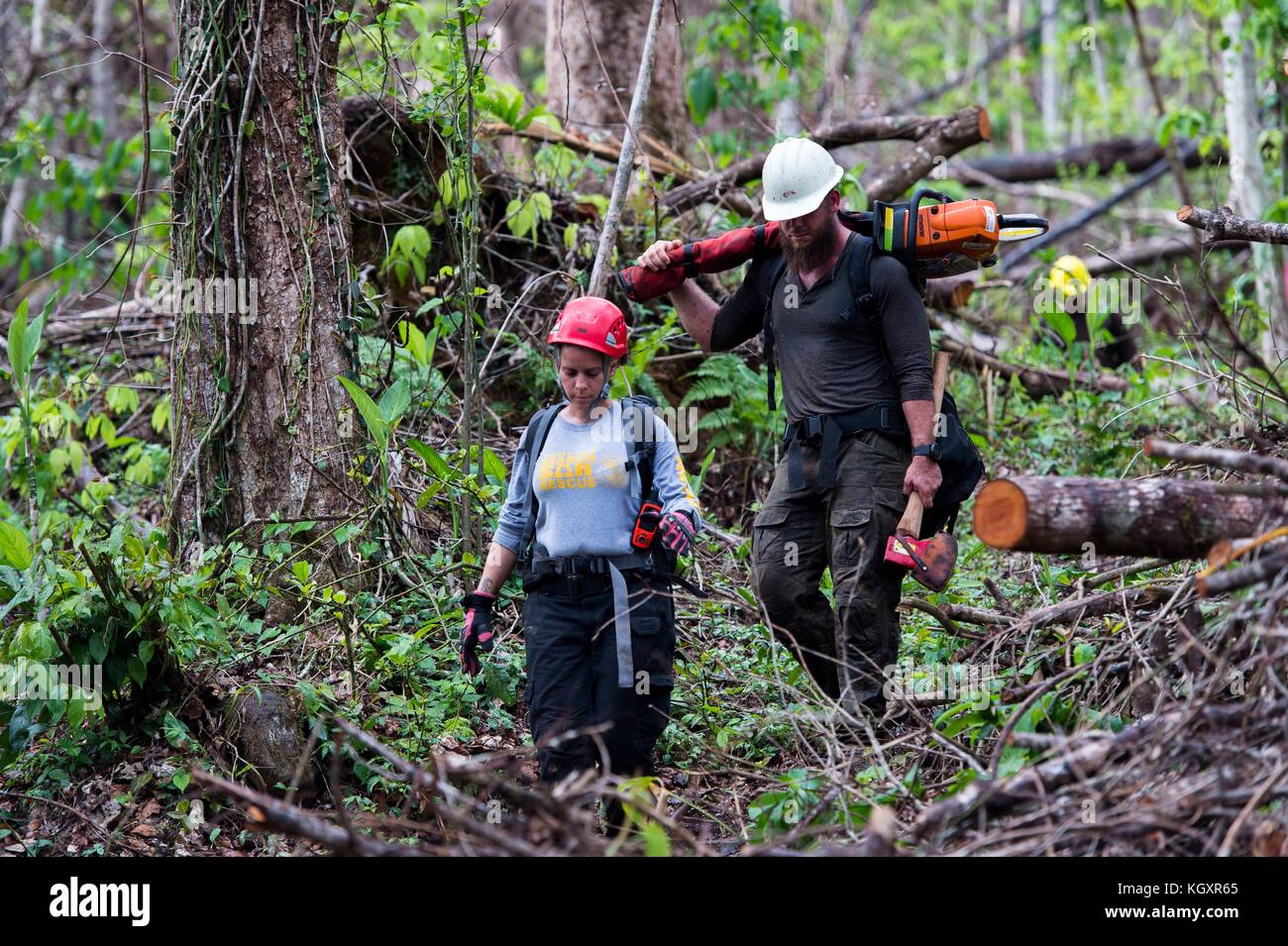 Ted Piehl, un fumogeno del servizio forestale degli Stati Uniti e Lissie Negron, paramedico del servizio forestale nazionale di Porto Rico, fa escursioni fuori dalla foresta nazionale di El Yunque il 6 novembre 2017 a Porto Rico. L'uragano Maria ha devastato la foresta pluviale tropicale. I detriti devono essere eliminati per consentire la raccolta e il filtraggio dell'acqua di scarico, fornendo acqua alla comunità locale. ((foto di Nicholas Dutton via Planetpix) Foto Stock