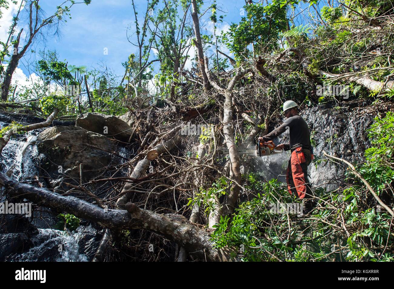 Ted piehl, una foresta di Stati Uniti service smokejumper tagli alberi abbattuti durante le operazioni di cancellazione di El Yunque National Forest Novembre 6, 2017 in puerto rico. uragano maria devastato la foresta pluviale tropicale. ((Foto di Nicola dutton via planetpix) Foto Stock