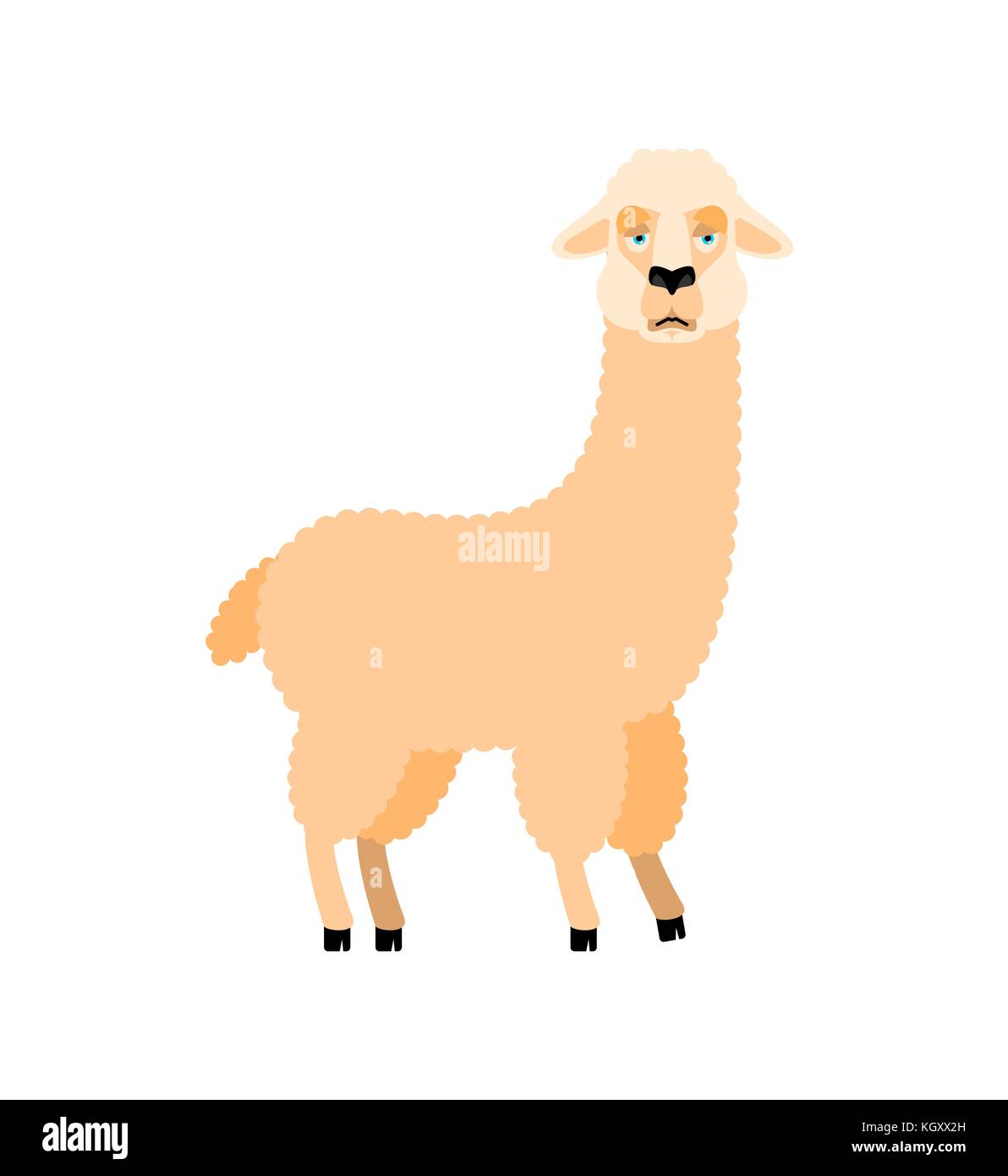 Lama alpaca triste. animale emoji dolorosi. illustrazione vettoriale  Immagine e Vettoriale - Alamy