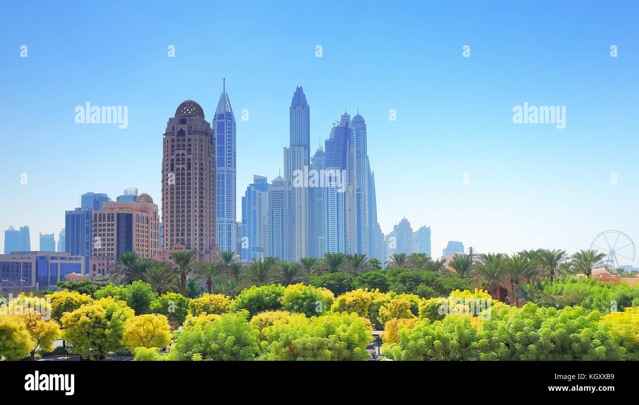 Nel centro cittadino di Dubai in una giornata di sole. alberi verdi su sfondo grattacielo a Dubai. Foto Stock