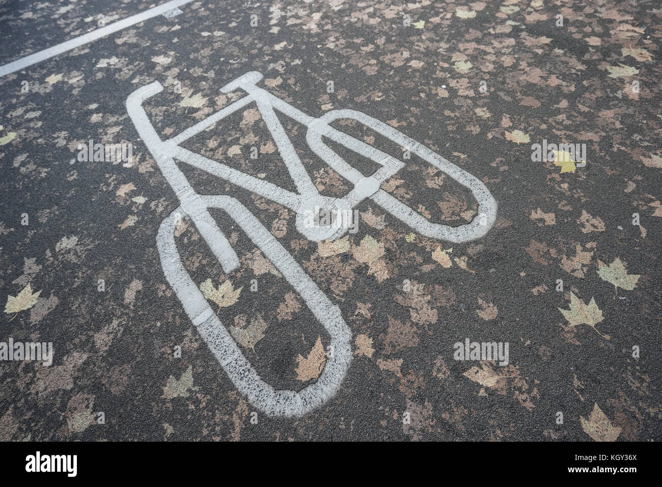 Una bicicletta la segnaletica stradale e foglie di autunno su una strada di Londra. photo Data: giovedì, 9 novembre 2017. foto: roger garfield/alamy Foto Stock