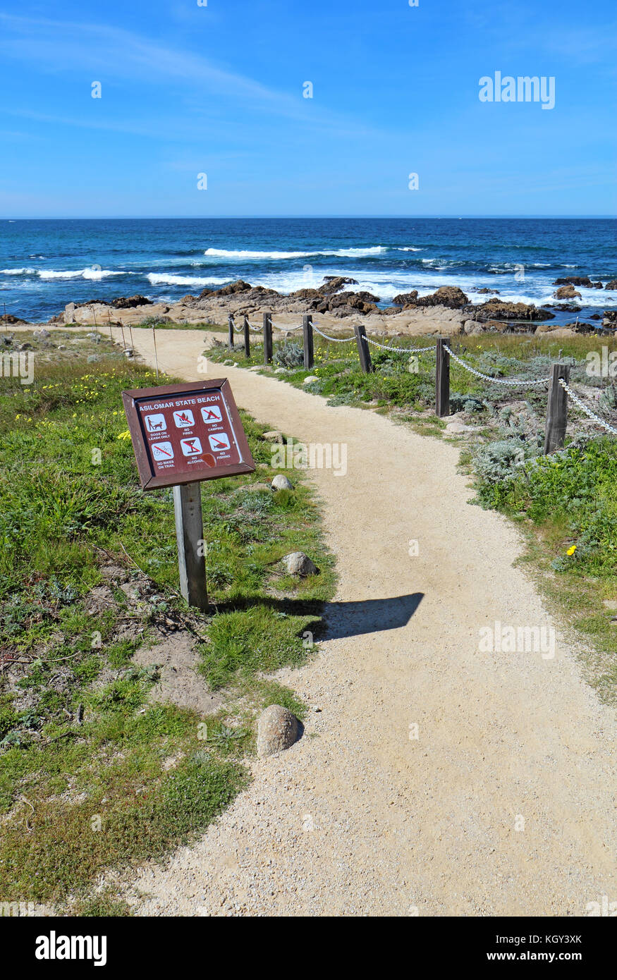 Pacific Grove, California - 17 marzo 2017: passerella, segno, surf, rocce e inizio della primavera fiori selvatici del parco ad asilomar membro sulla spiaggia di Monterey Foto Stock