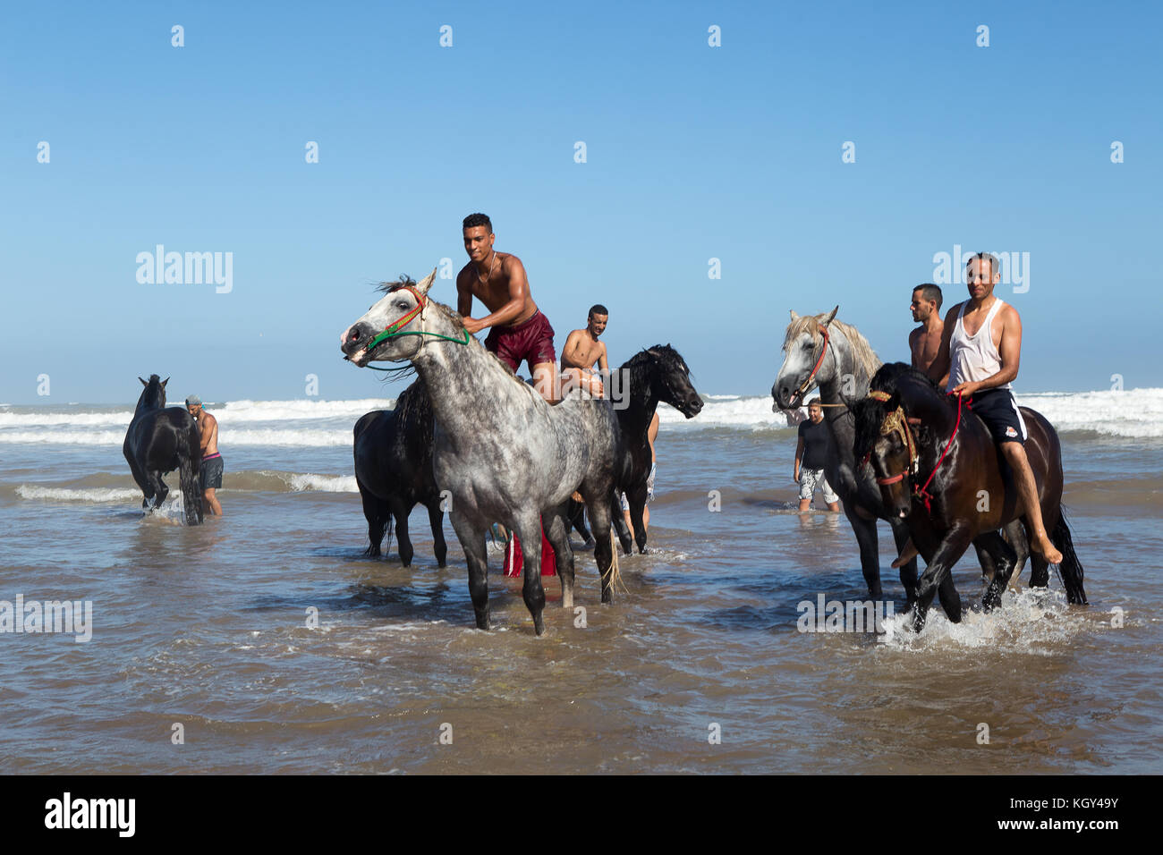 Fantasia è un tradizionale mostra di equitazione nel Maghreb eseguita durante le manifestazioni culturali e per chiudere magrebino festeggiamenti nuziali. Foto Stock