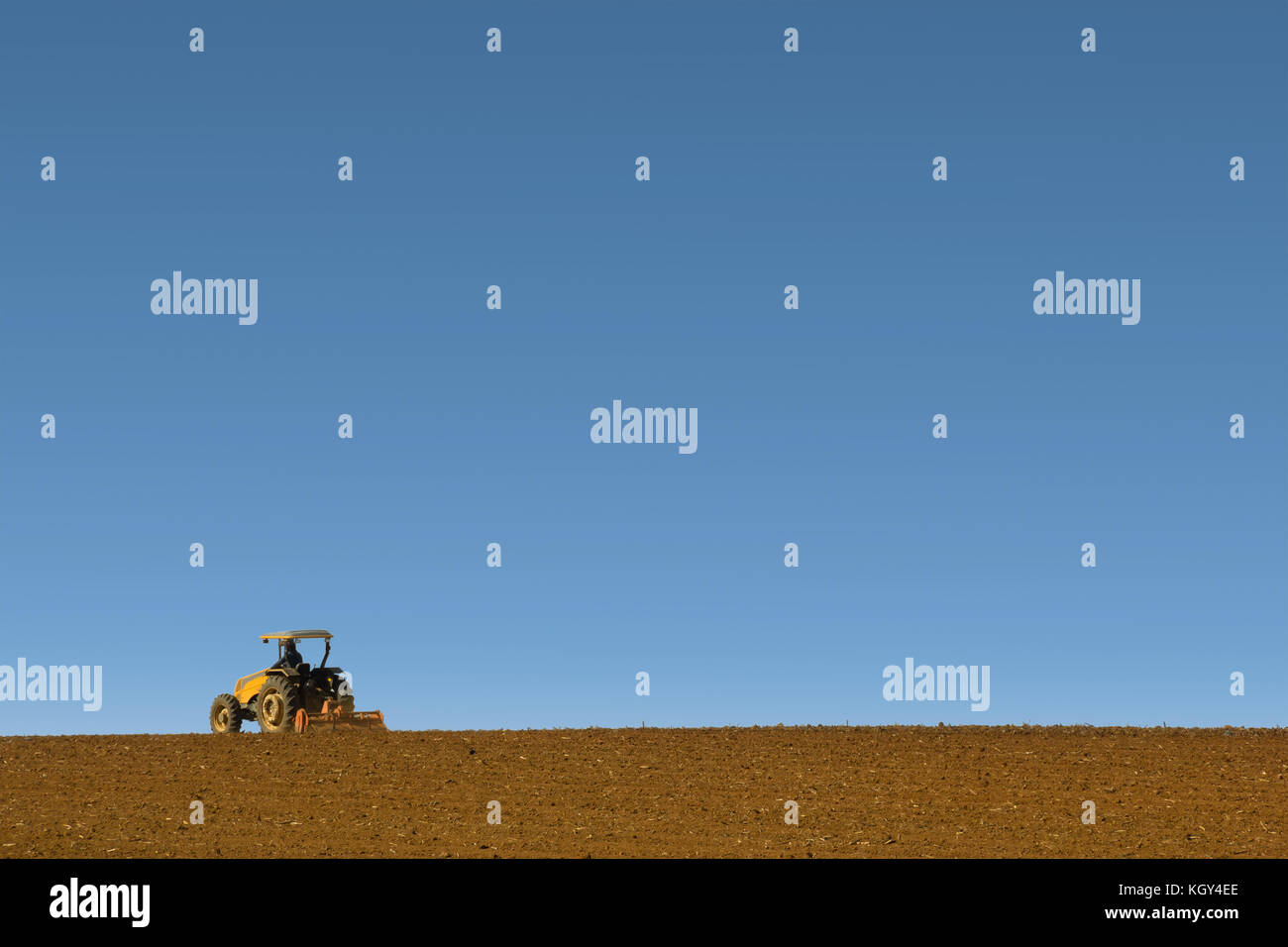 Giallo trattore azionato da una fattoria preparando il suolo per la semina e uno sfondo grigio Foto Stock