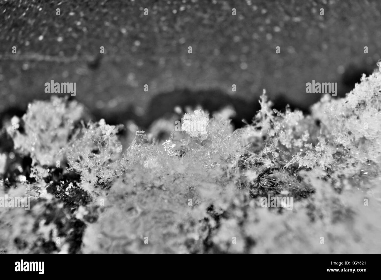 Close up di fiocchi di neve durante le prime nevicate in bianco e nero Foto Stock