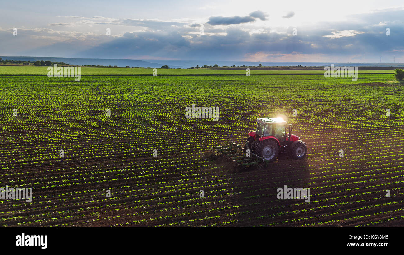 Il trattore campo coltivato a molla,vista aerea Foto Stock