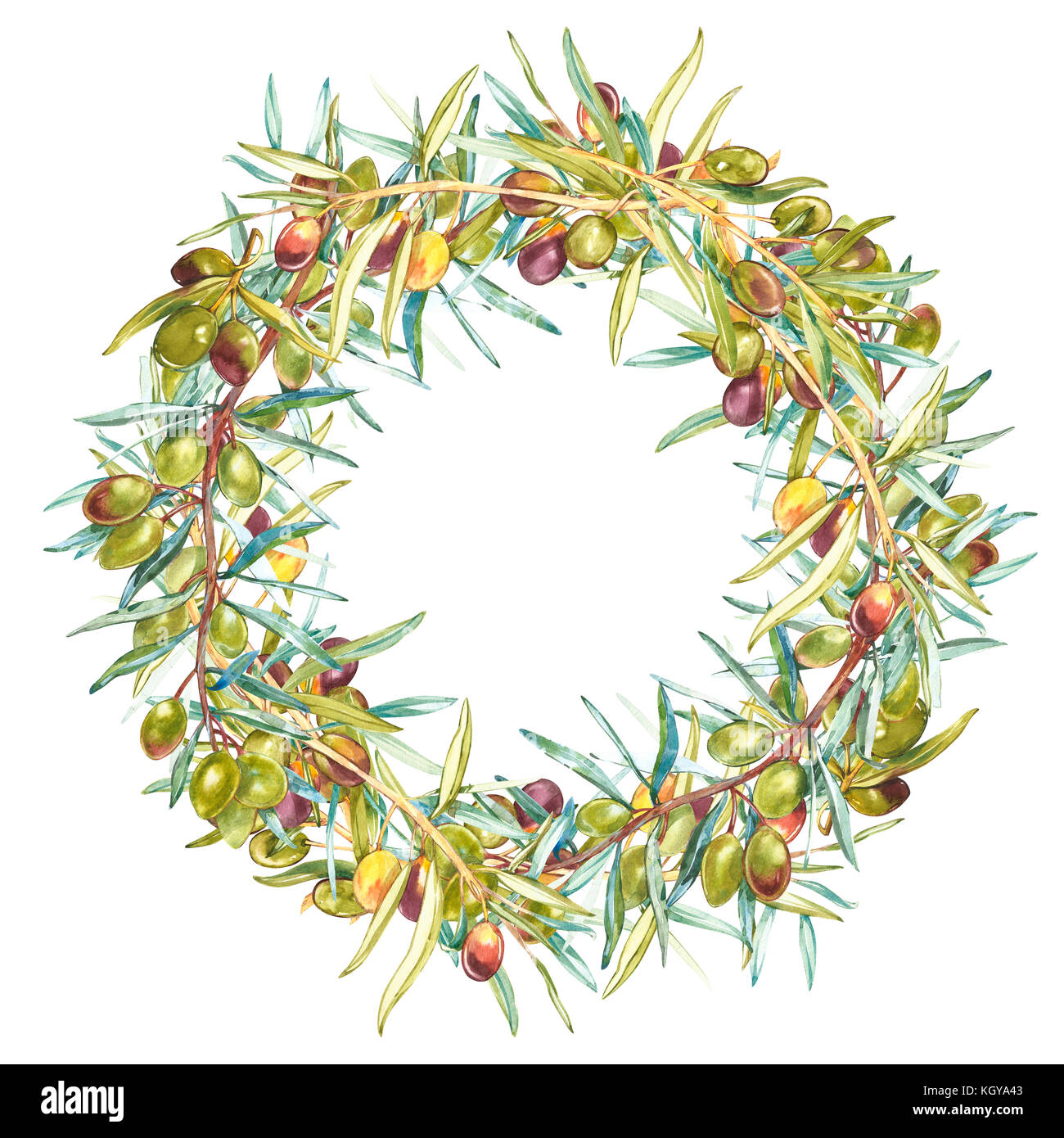 Acquerello colorata ghirlanda realistico con maturi olive nere e verdi sul round sullo sfondo bianco. Foto Stock