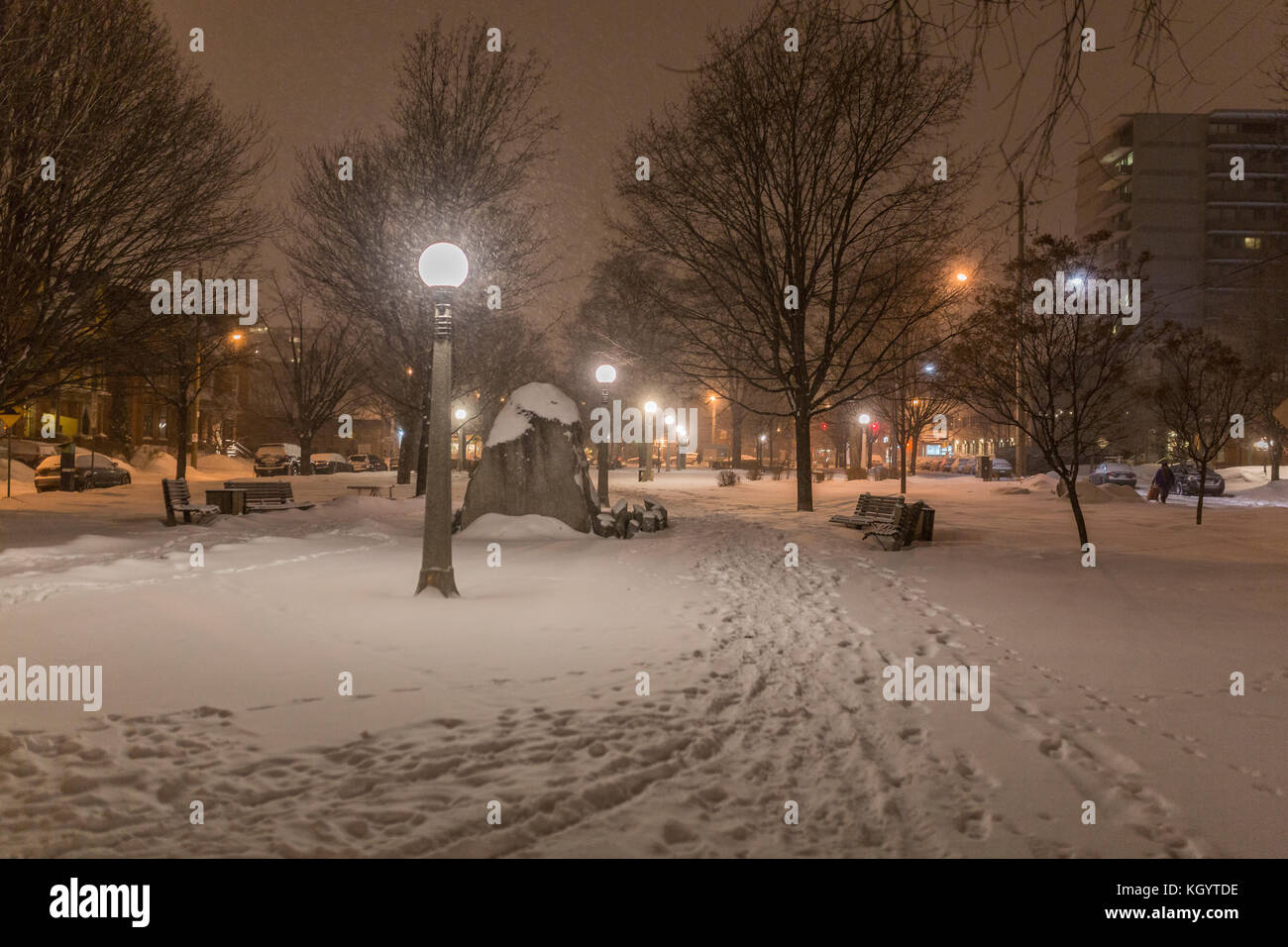 Sera scena invernale Foto Stock